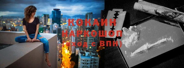 трава Сатка