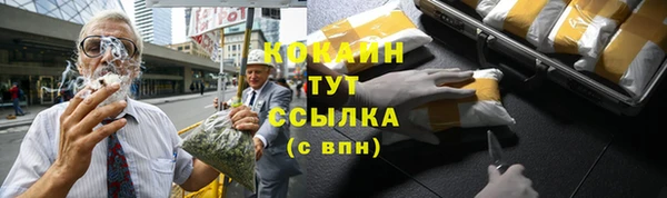 сатива Арсеньев