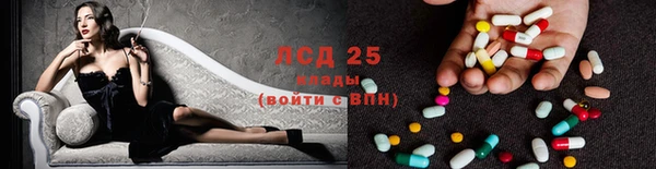 сатива Арсеньев