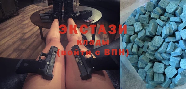шишки Аркадак