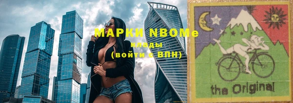 шишки Аркадак