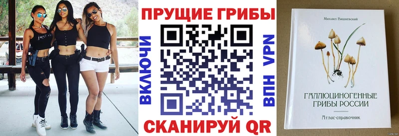 Галлюциногенные грибы MAGIC MUSHROOMS  Чернушка 